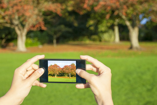 Woman taking picture