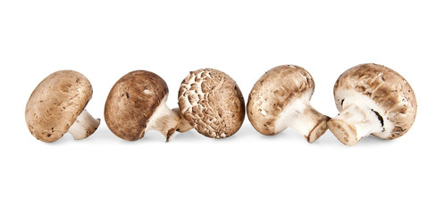 mushrooms