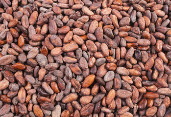 cocoa beans background