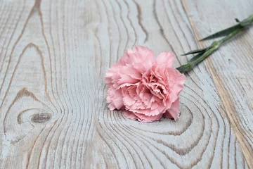 Foto auf Leinwand Mooie roze anjer op houten achtergrond © trinetuzun
