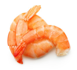 Cooked shrimp isolated