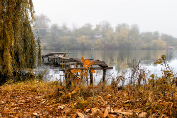 Autumn coast in fog, with trees and wooden bridge