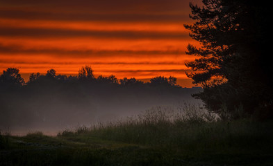 misty valley on the sunset