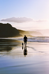 man walking the dog on beach - obrazy, fototapety, plakaty