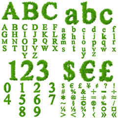 Conceptual green grass font