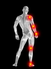 3D human man anatomy with articular pain
