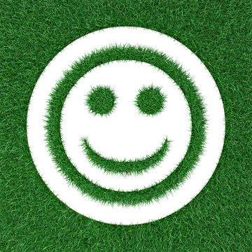 cheerful smiley from grass