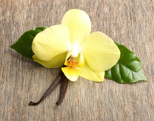 Vanilla pods and orchid flowers