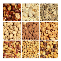 Grid of various Nuts