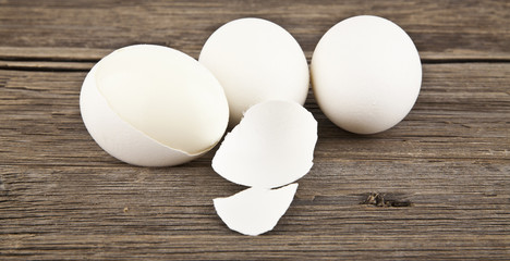 eggs