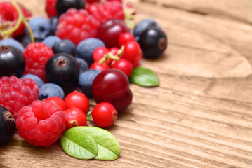 Different type of berry fruits