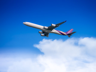 Fototapeta na wymiar Passenger airplane flying in the sky