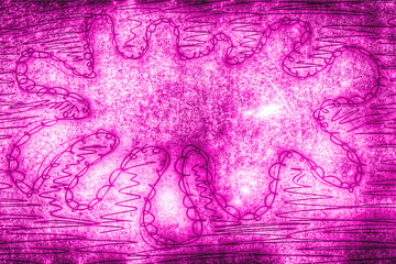 vintage red/pink splash background...