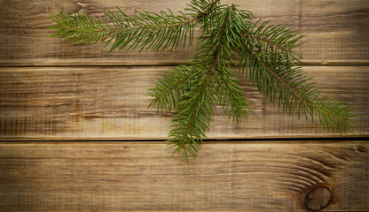 branches of fir-tree