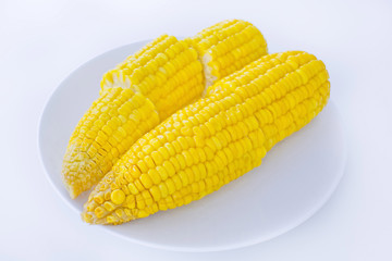 Corn isolated on a white background