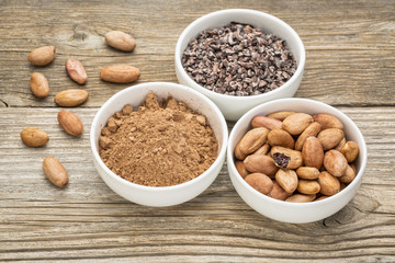 cacao beans, nibs and powder
