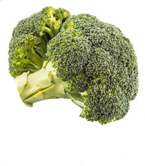 Broccoli over white background