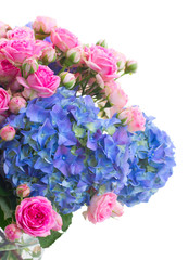 pink roses and blue hortensia flowers close up