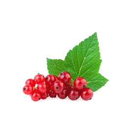 currant berry