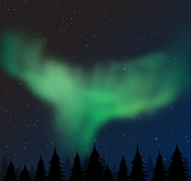 Aurora borealis vector