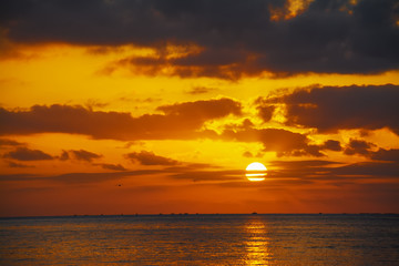 Fototapeta na wymiar scenic sunset with seagulls over the sea
