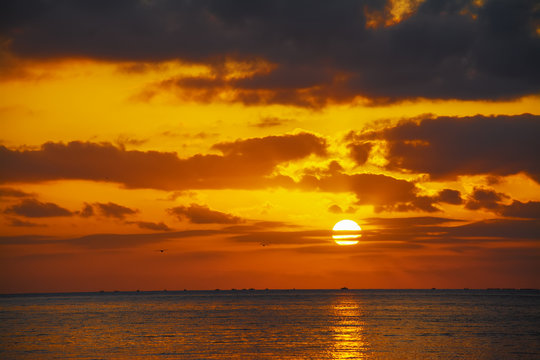 scenic sunset with seagulls over the sea