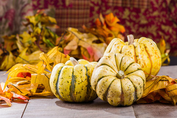 Fall squash with autumn leaves