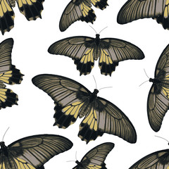 colorful simple vector butterflies seamless pattern eps10