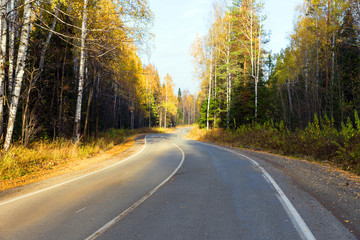 Winding road in the autumn forest