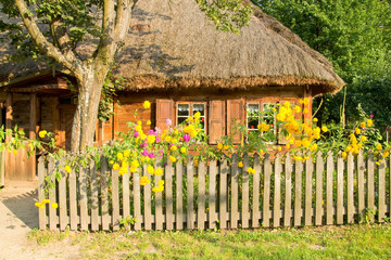 Obrazy  Tradycyjny wiejski drewniany domek