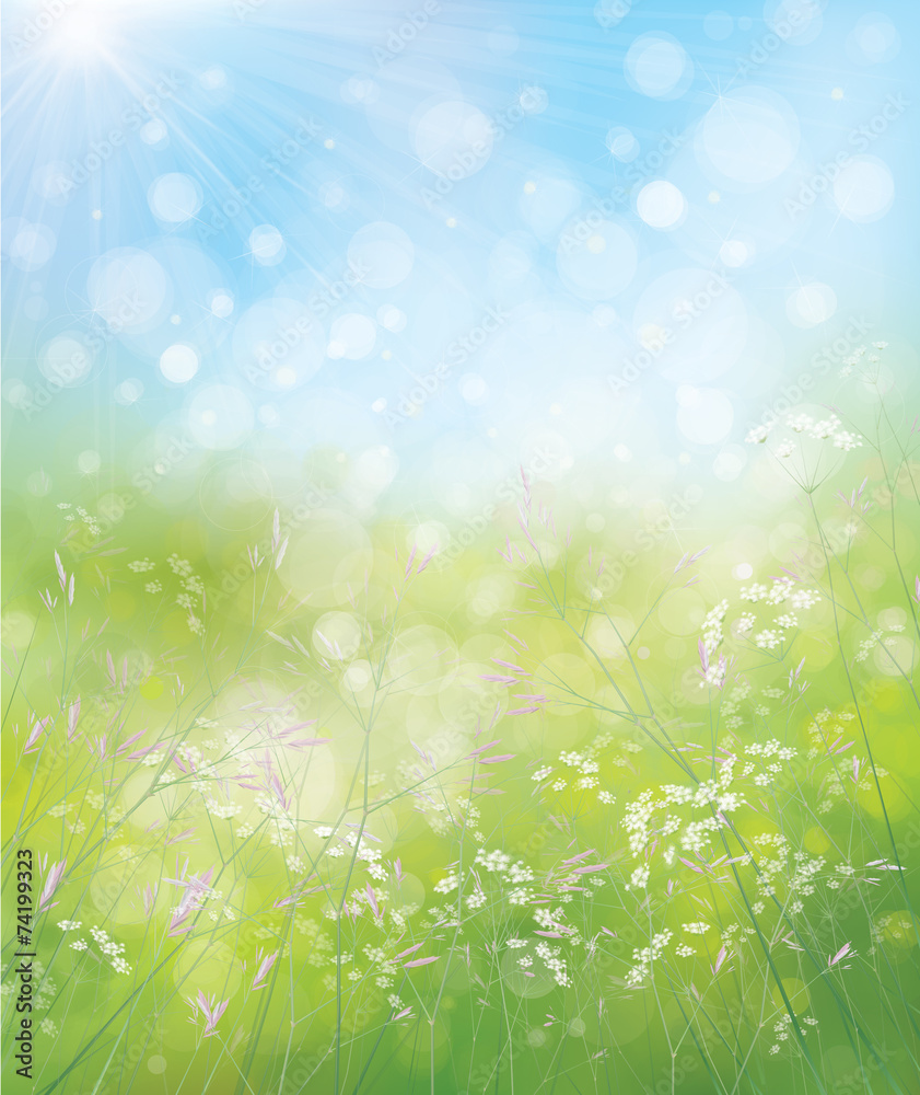 Canvas Prints vector spring nature background.