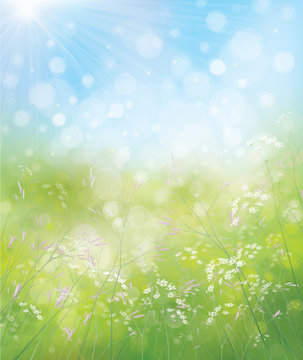 Vector spring nature background.
