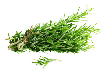 Rosemary twig isolated