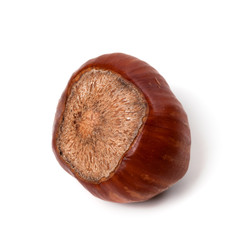Brown hazelnut