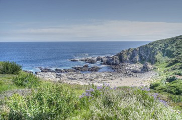 punta de tralca