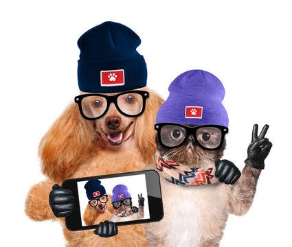 dog with cat taking a selfie together with a smartphone