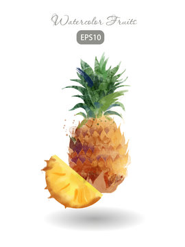 Pineapple watercolor