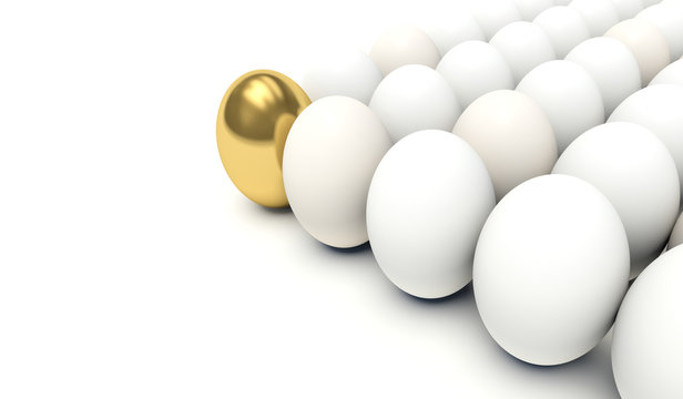 White eggs with golden egg in the first place.