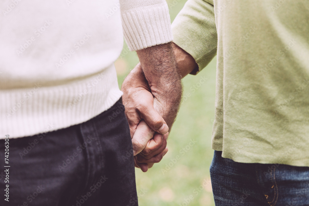 Wall mural Gay Couple Holding Hands at Park