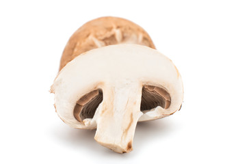 Fototapeta premium mushroom