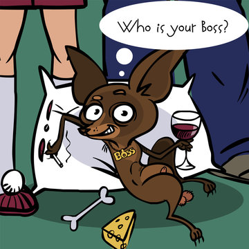 funny cute Chihuahua. vector illustration