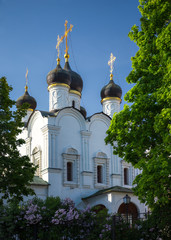 St Vladimir's Church