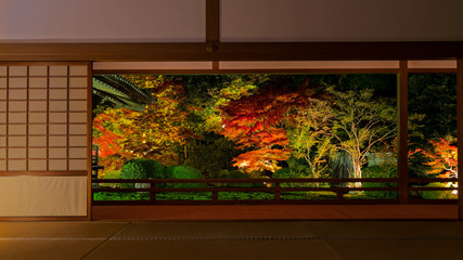 秋の随心院門跡・ライトアップ