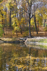 Beautiful nature background