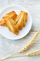 wholegrain Madeleine