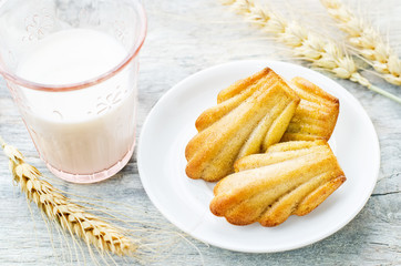 wholegrain Madeleine