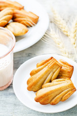wholegrain Madeleine