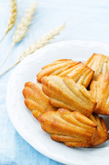 wholegrain Madeleine