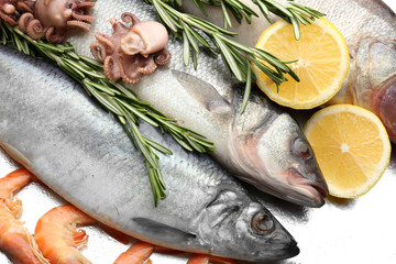 Fresh catch of fish and other seafood close-up