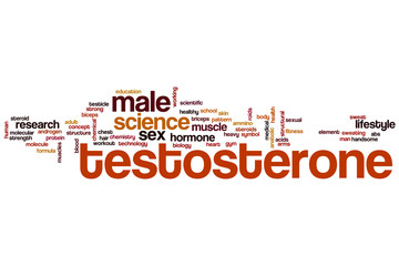 Testosterone word cloud